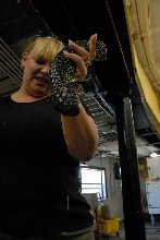 PHFaust and Family take a trip to Reptile Gardens