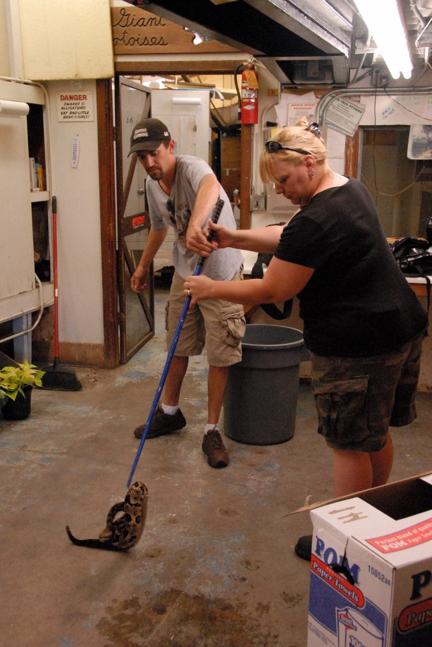 PHFaust and Family take a trip to Reptile Gardens