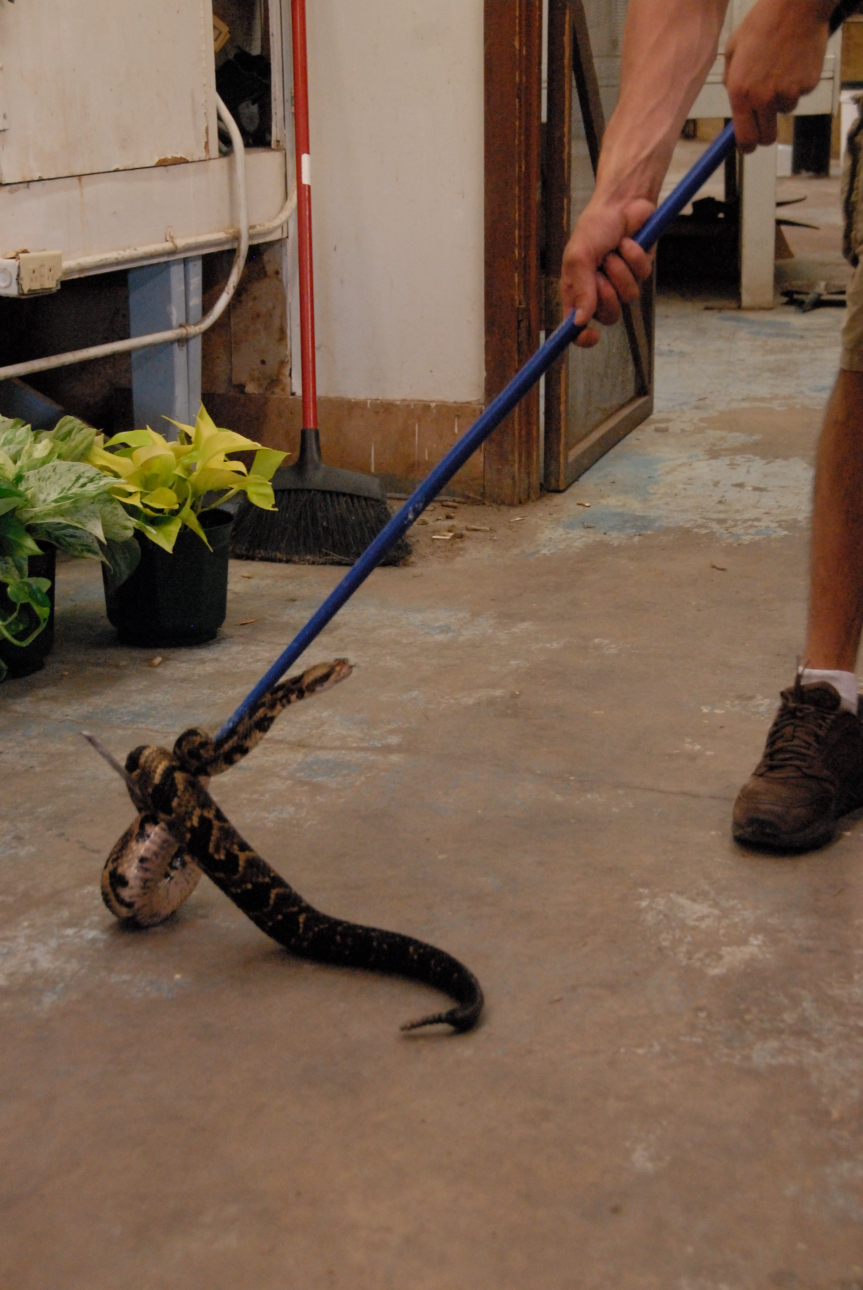 PHFaust and Family take a trip to Reptile Gardens