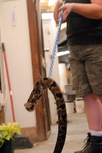 PHFaust and Family take a trip to Reptile Gardens