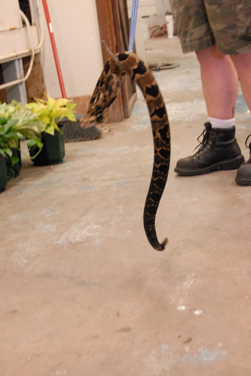 PHFaust and Family take a trip to Reptile Gardens
