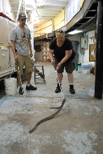 PHFaust and Family take a trip to Reptile Gardens