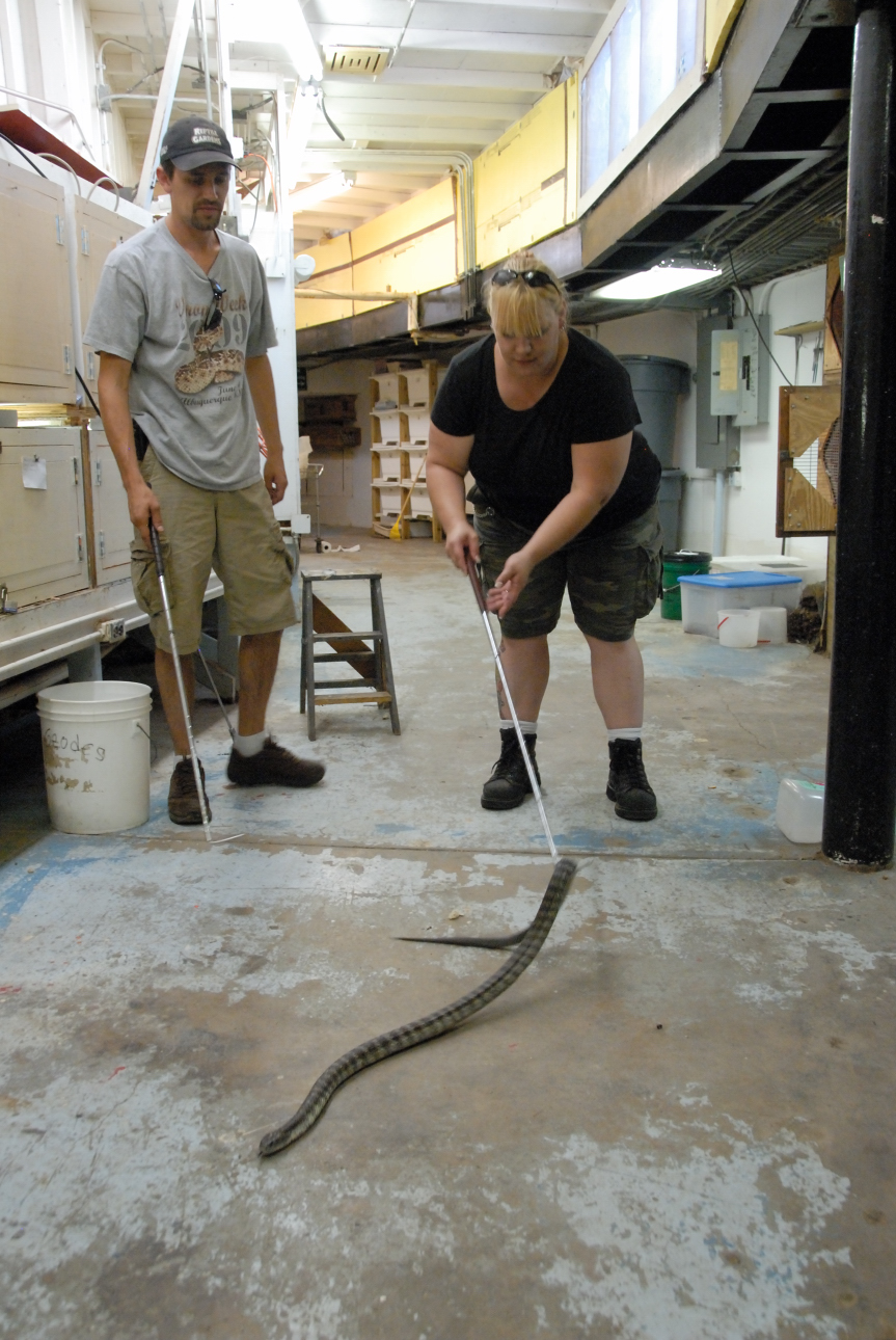 PHFaust and Family take a trip to Reptile Gardens