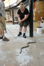PHFaust and Family take a trip to Reptile Gardens