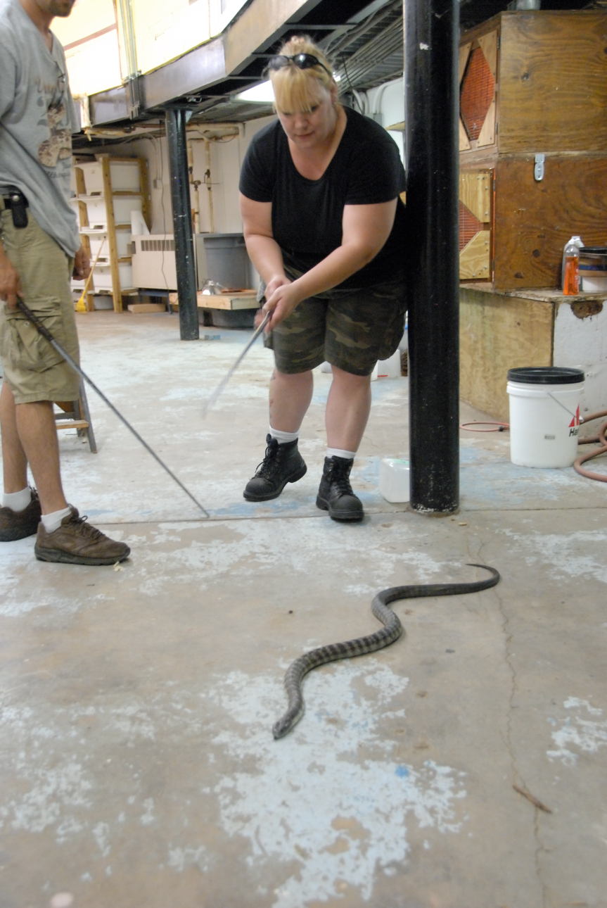 PHFaust and Family take a trip to Reptile Gardens