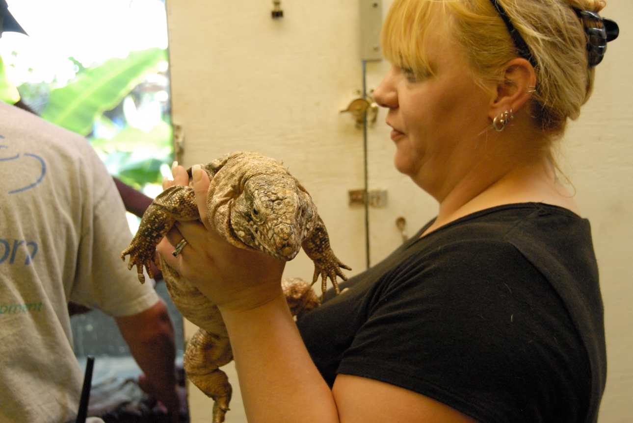 PHFaust and Family take a trip to Reptile Gardens