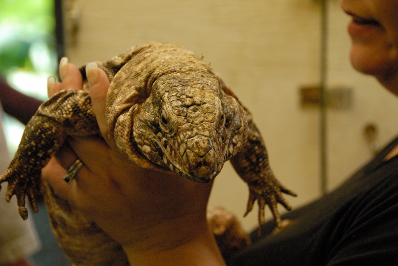 PHFaust and Family take a trip to Reptile Gardens
