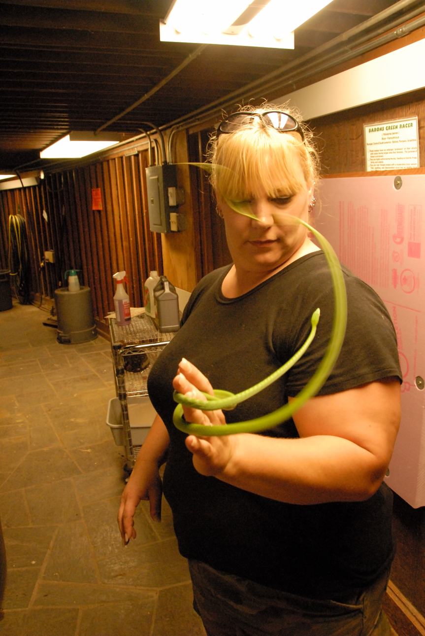 PHFaust and Family take a trip to Reptile Gardens