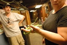 PHFaust and Family take a trip to Reptile Gardens