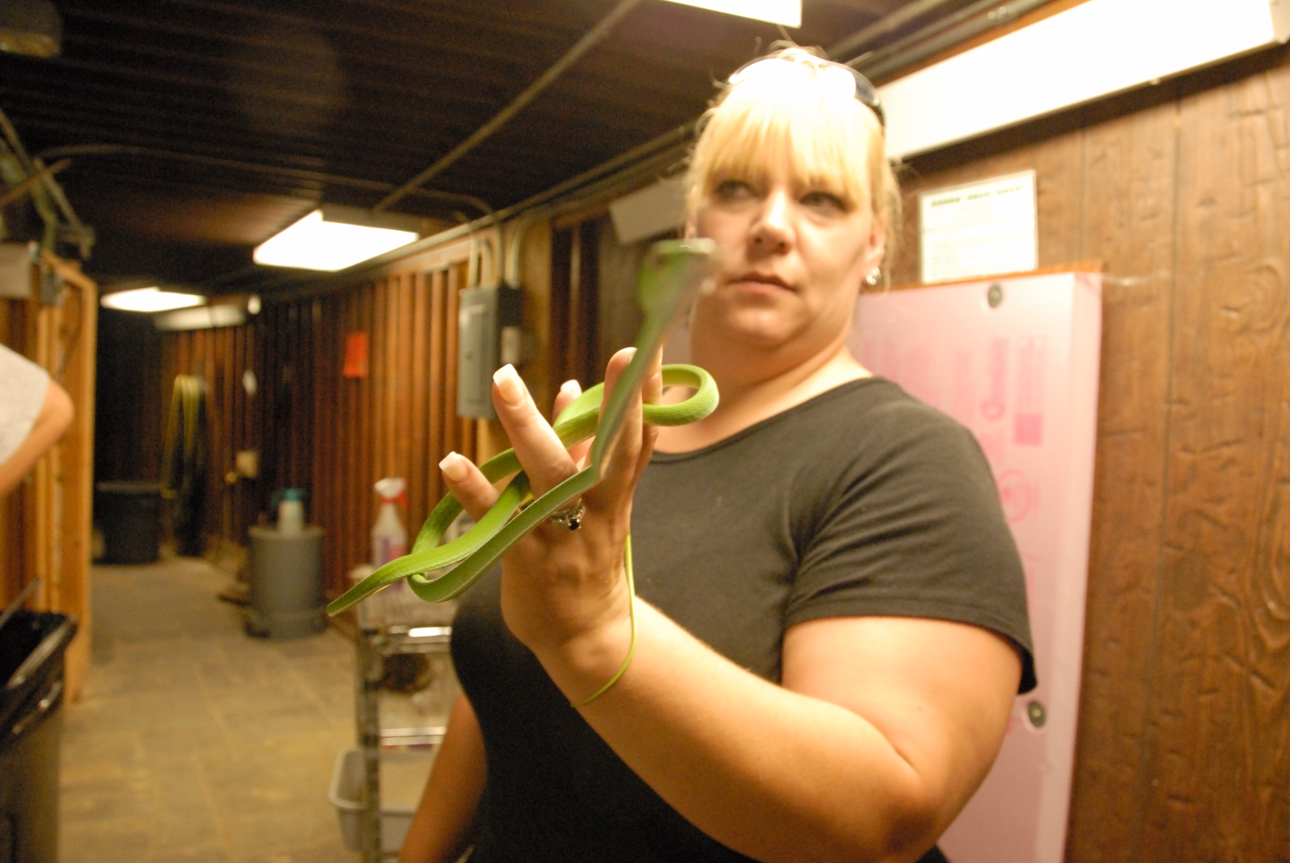 PHFaust and Family take a trip to Reptile Gardens