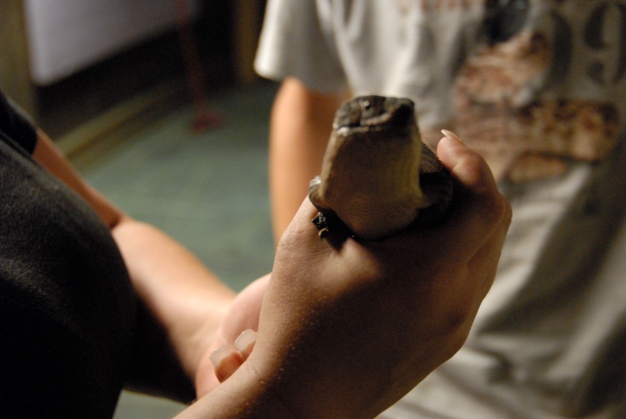 PHFaust and Family take a trip to Reptile Gardens