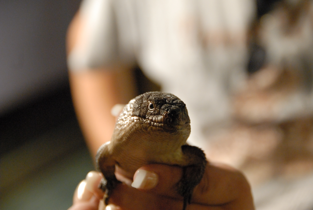 PHFaust and Family take a trip to Reptile Gardens