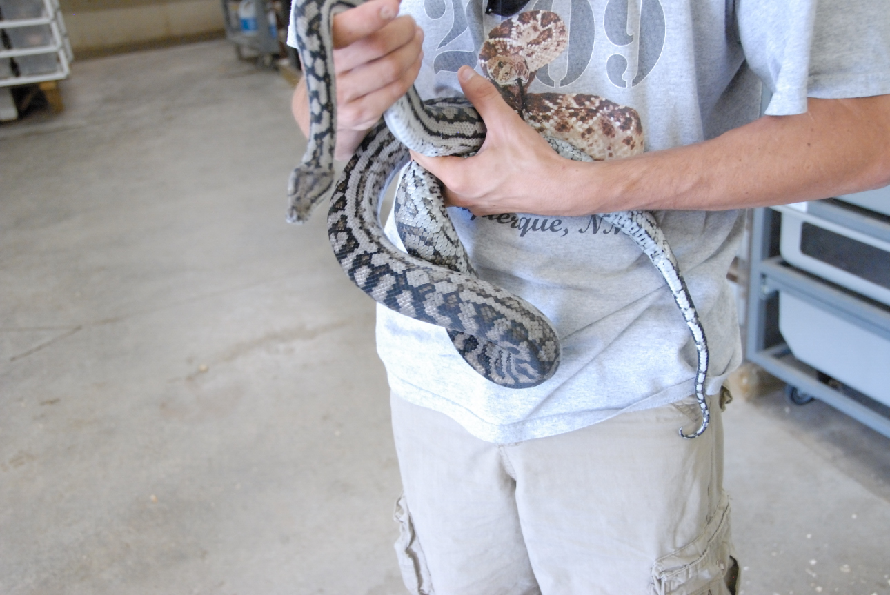PHFaust and Family take a trip to Reptile Gardens