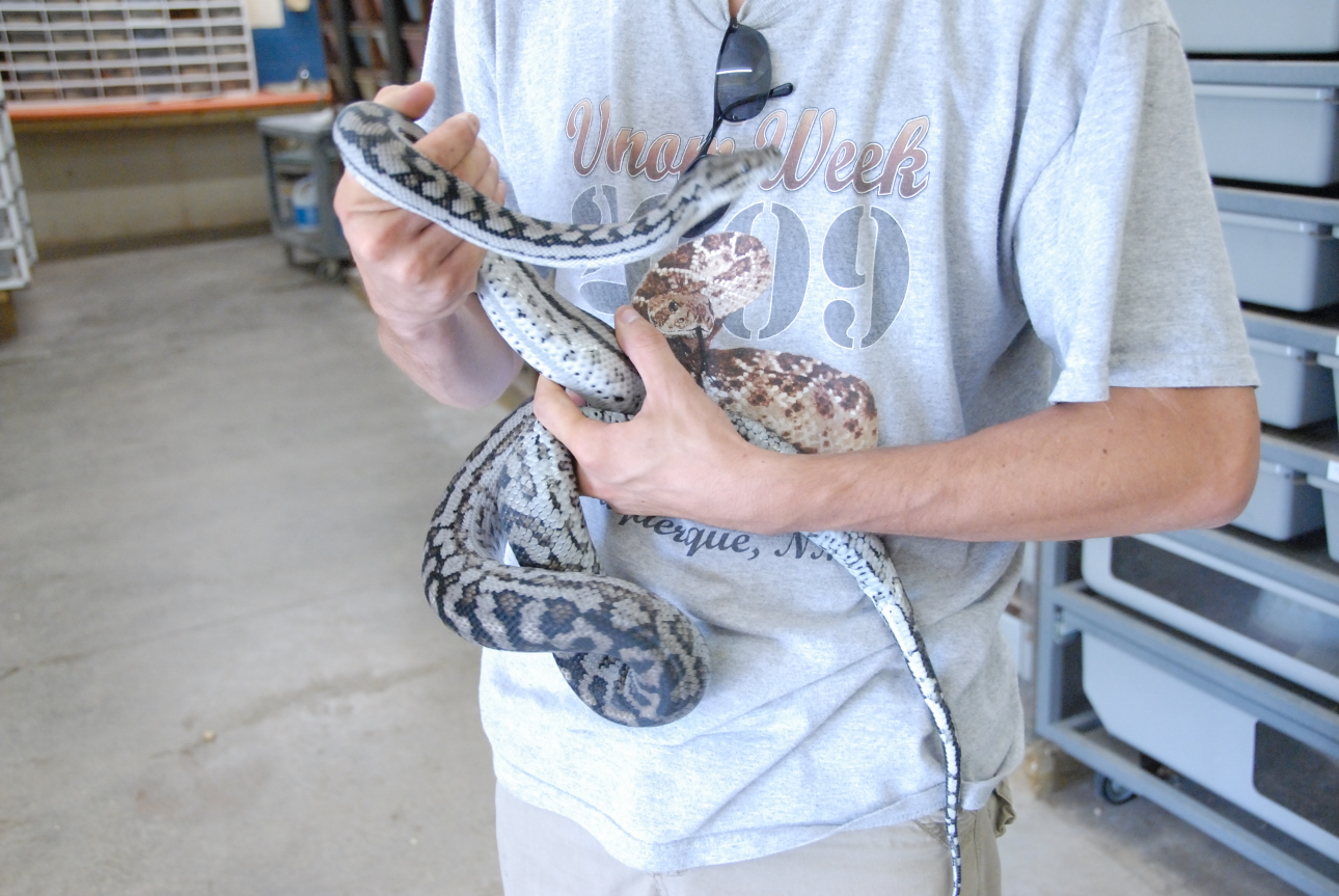 PHFaust and Family take a trip to Reptile Gardens