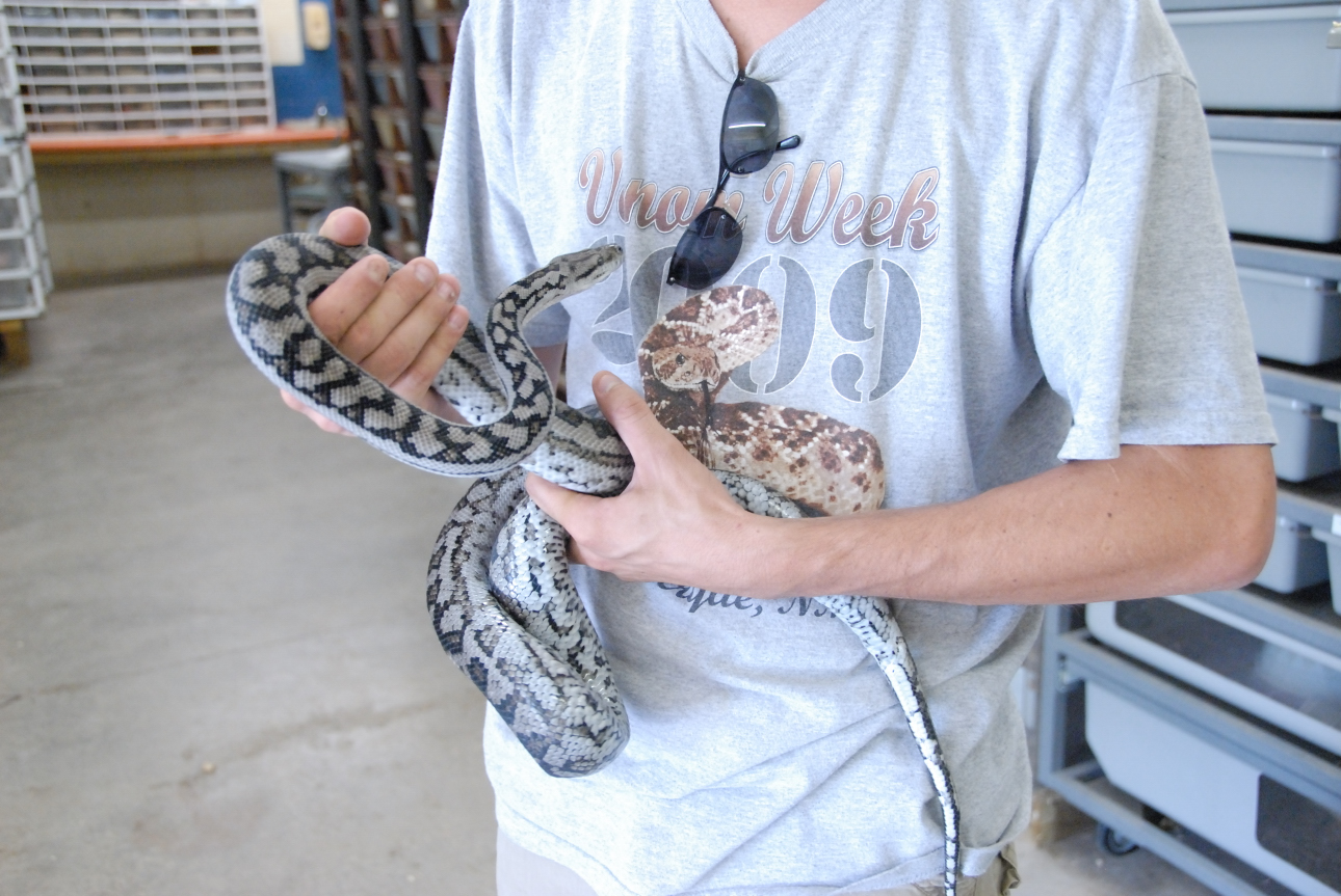 PHFaust and Family take a trip to Reptile Gardens