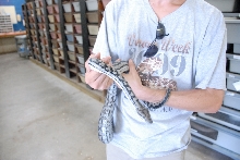 PHFaust and Family take a trip to Reptile Gardens