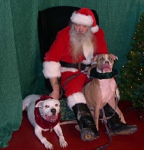 Photos with Santa 2006