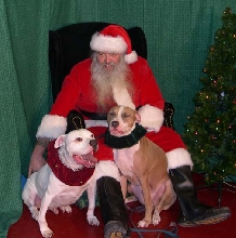 Photos with Santa 2006