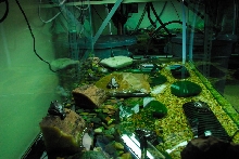 Visit to San Diego Zoo facilities