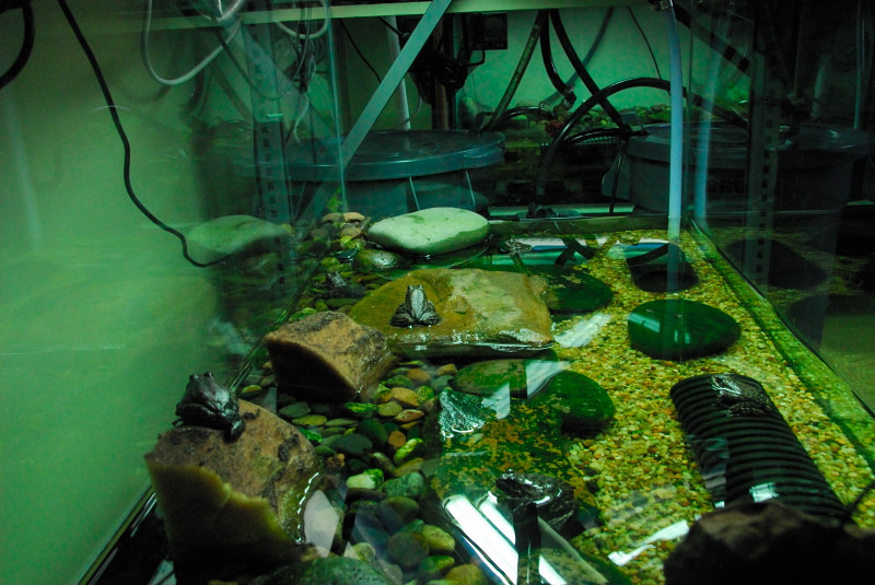 Visit to San Diego Zoo facilities