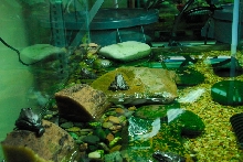 Visit to San Diego Zoo facilities