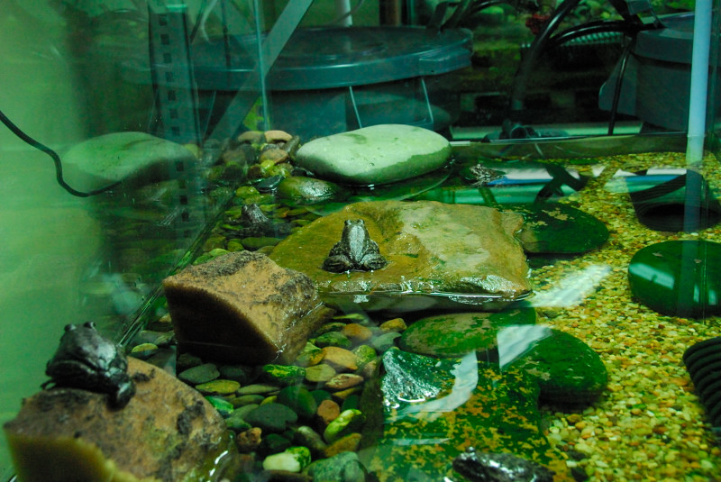 Visit to San Diego Zoo facilities