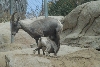 Visit to San Diego Zoo facilities