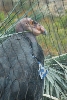 Visit to San Diego Zoo facilities