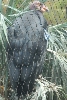 Visit to San Diego Zoo facilities