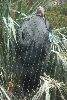 Visit to San Diego Zoo facilities