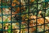 Visit to San Diego Zoo facilities