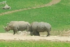 Visit to San Diego Zoo facilities