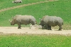 Visit to San Diego Zoo facilities