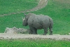 Visit to San Diego Zoo facilities