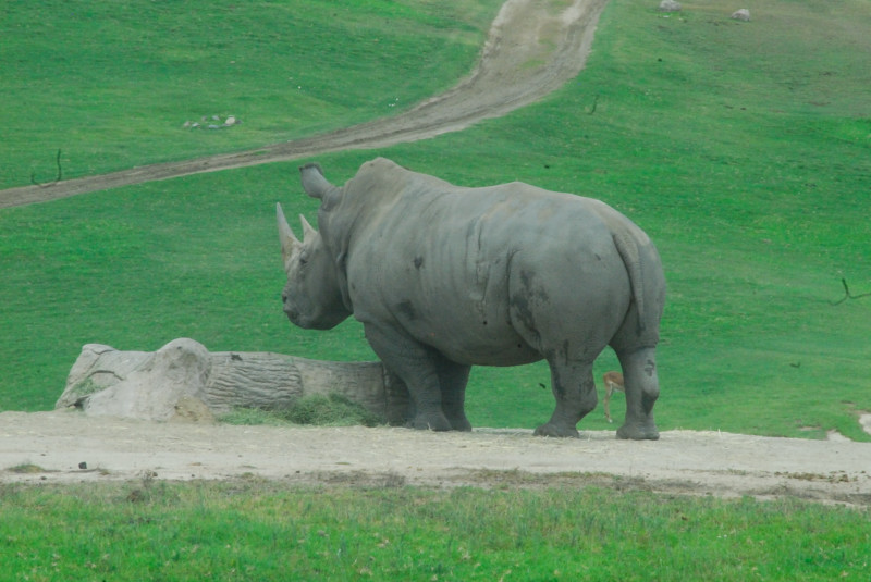 Visit to San Diego Zoo facilities
