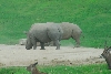 Visit to San Diego Zoo facilities