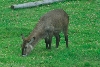 Visit to San Diego Zoo facilities