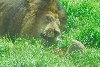 Visit to San Diego Zoo facilities