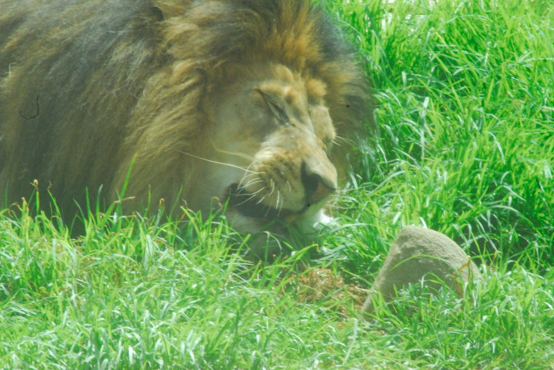 Visit to San Diego Zoo facilities