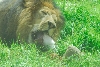 Visit to San Diego Zoo facilities