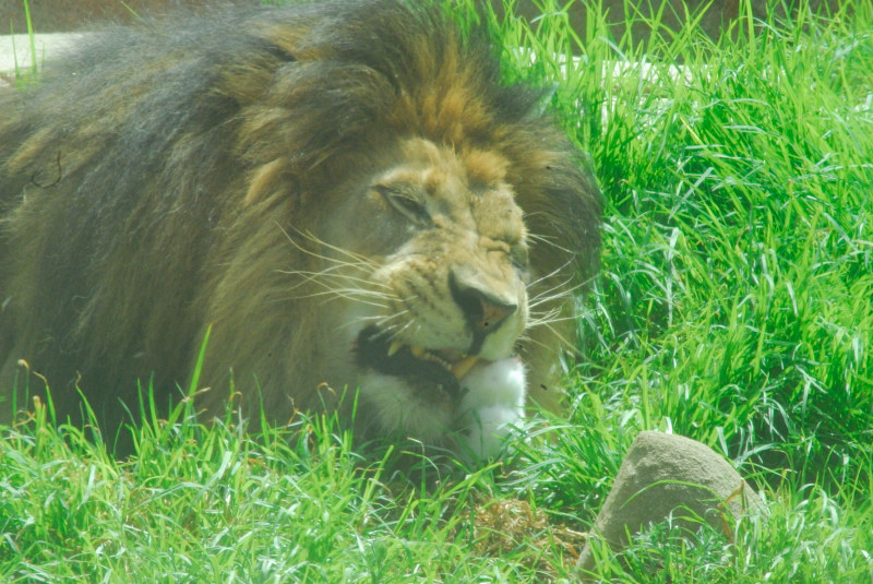 Visit to San Diego Zoo facilities