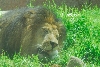 Visit to San Diego Zoo facilities