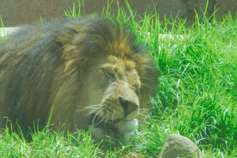 Visit to San Diego Zoo facilities