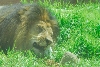 Visit to San Diego Zoo facilities