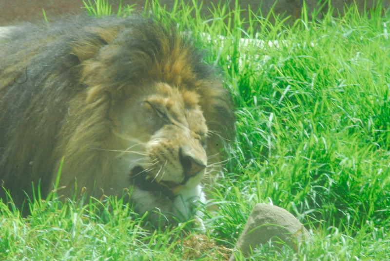 Visit to San Diego Zoo facilities