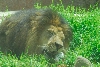 Visit to San Diego Zoo facilities