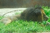 Visit to San Diego Zoo facilities