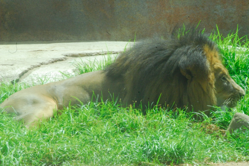 Visit to San Diego Zoo facilities