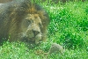 Visit to San Diego Zoo facilities