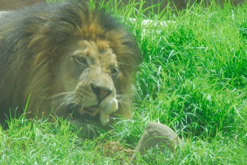 Visit to San Diego Zoo facilities